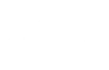 opt-Wov
